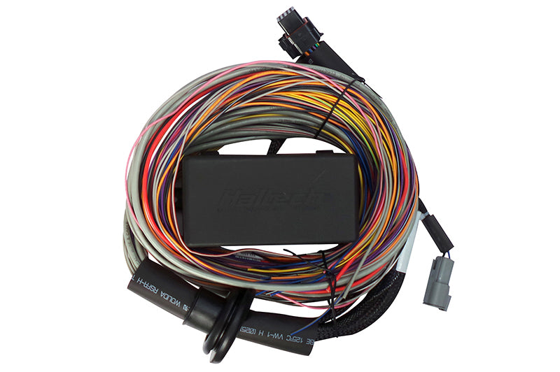 Haltech Elite 750 8ft Premium Universal Wire-In Harness - Racecraft Industries