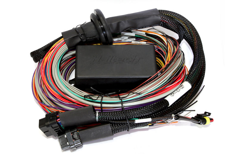 Haltech Elite 2500 & 2500 T 8ft Premium Universal Wire-In Harness - Racecraft Industries