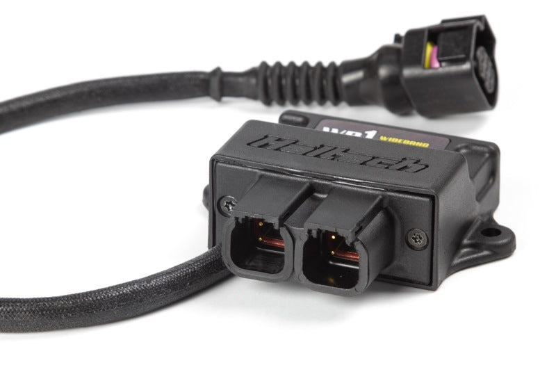 Haltech WB1 Single Channel CAN O2 Wideband Controller Kit - Racecraft Industries