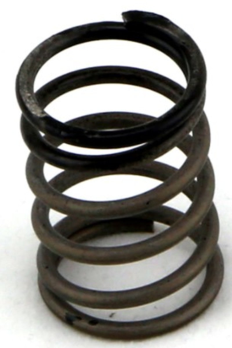 Turbosmart Gen-V WG38/40 3psi Black Inner Spring - Racecraft Industries