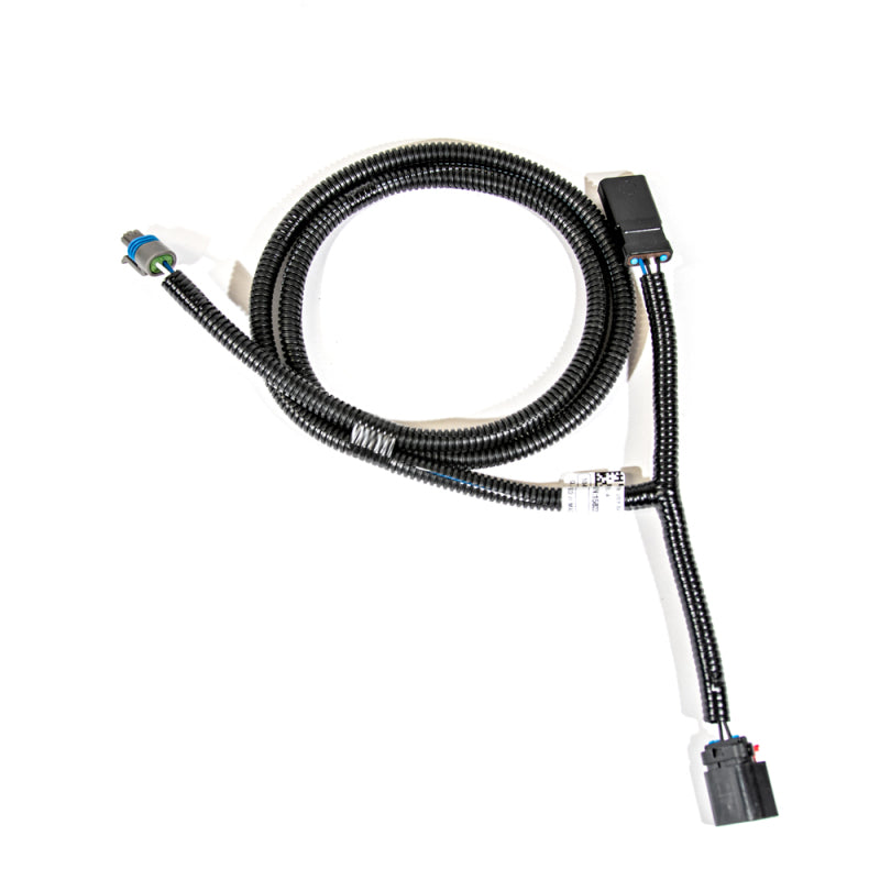 VMP Performance 15+ Coyote 5.0L Supercharged IAT Breakout Harness (Brass GM Style) - Racecraft Industries
