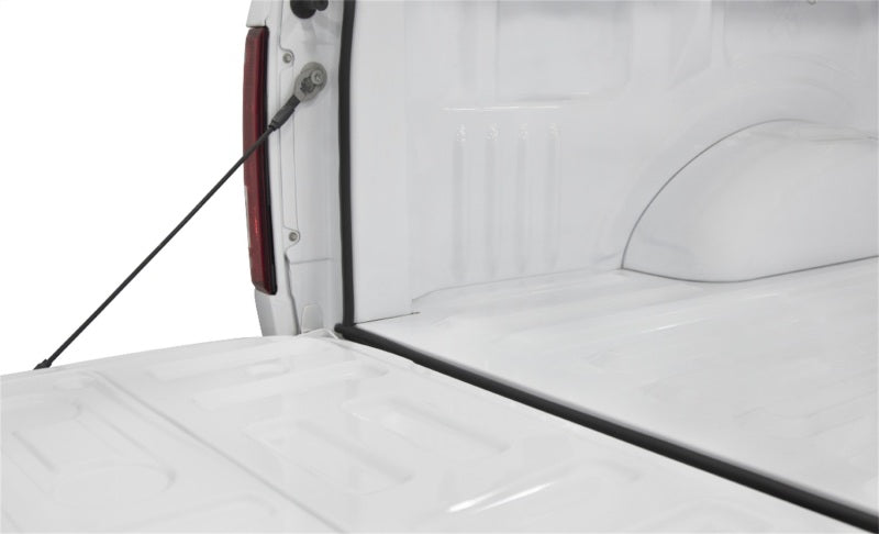 Access Accessories TRAILSEAL Tailgate Gasket 1 Kit Fits All Pickups - Racecraft Industries
