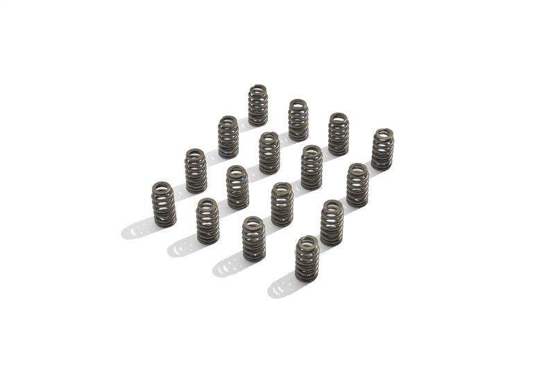 Ford Racing BOSS 302R Valve Spring Kit - Racecraft Industries