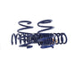 Ford Racing 15-22 Mustang Track Lowering Spring Kit - Racecraft Industries