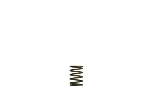 Turbosmart Gen-V WG38/40 3psi Black Inner Spring - Racecraft Industries