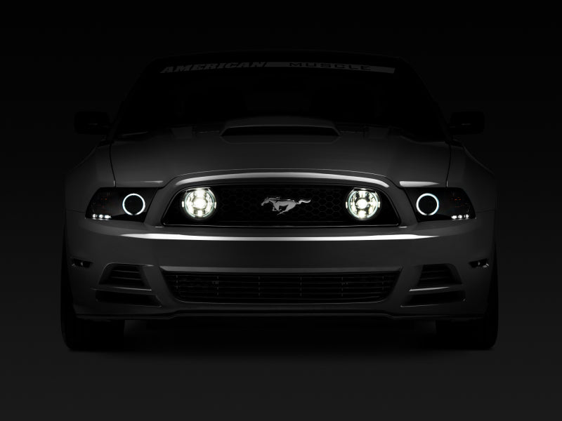 Raxiom 13-14 Ford Mustang GT CCFL Halo Fog Lights (Smoked) - Racecraft Industries