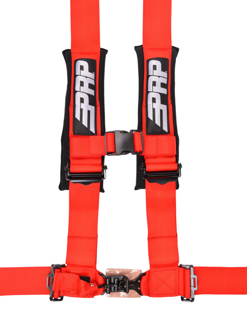 PRP 4.3 Harness- Red - Racecraft Industries