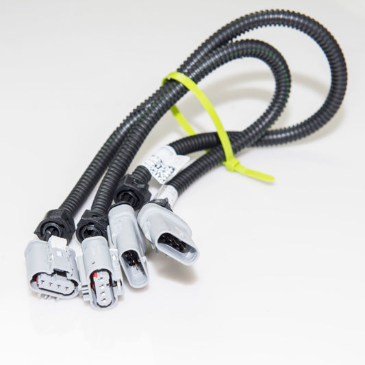 Kooks 2014-2019 Chevrolet Corvette C7 O2 Sensor Extension Harness - Racecraft Industries