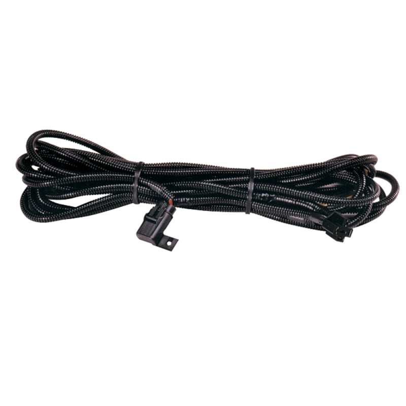 Hella High Performance Halogen Wiring Harness - Racecraft Industries