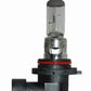 Hella 9006 12V 55W Halogen Bulb - Racecraft Industries