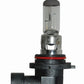 Hella 9006 12V 55W Halogen Bulb - Racecraft Industries