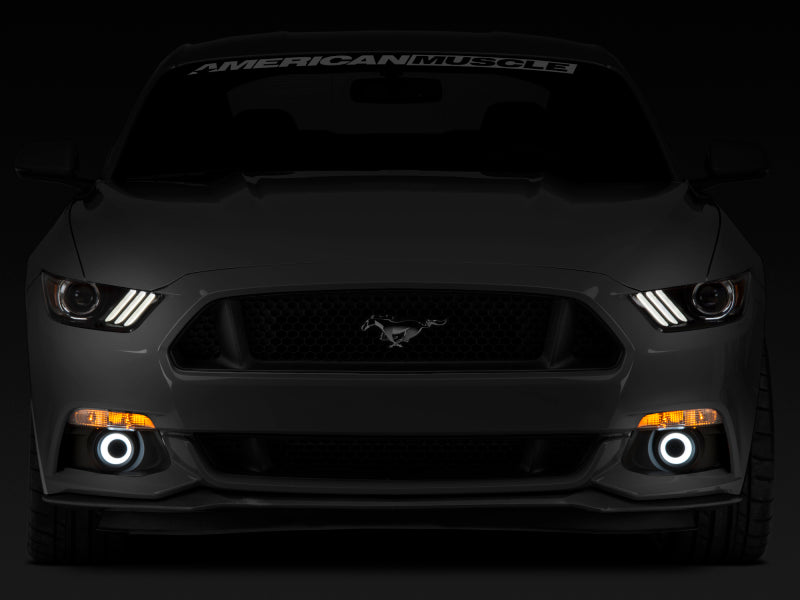 Raxiom 15-17 Ford Mustang LED Halo Fog Lights (w/ Factory Fog Lights) - Racecraft Industries