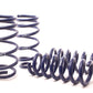 H&R 11-21 Dodge Charger SE/SXT/SXT Plus (2WD/4WD) Rallye/Plus/V6 Sport Spring - Racecraft Industries