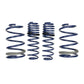 Ford Racing 2005-2014 Mustang GT 1.0in. Track Lowering Springs - Racecraft Industries