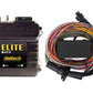 Haltech Elite 750 Premium Universal Wire-In Harness ECU Kit - Racecraft Industries