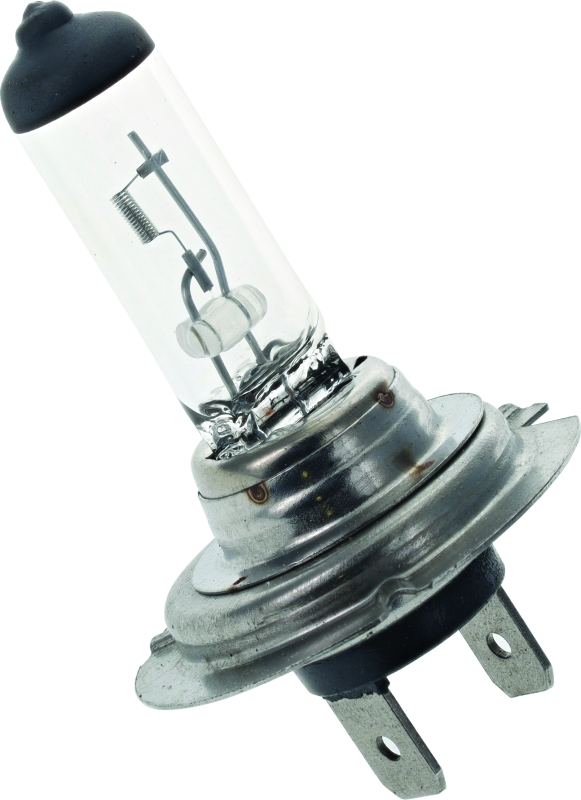 BikeMaster H-7 Halogen Bulb - Racecraft Industries