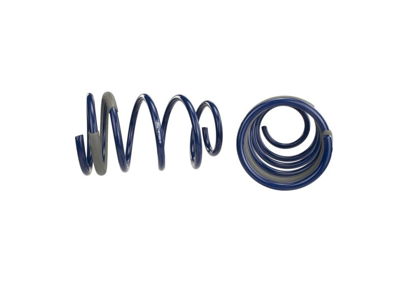 Ford Racing 2005-2014 Mustang GT 1.0in. Track Lowering Springs - Racecraft Industries