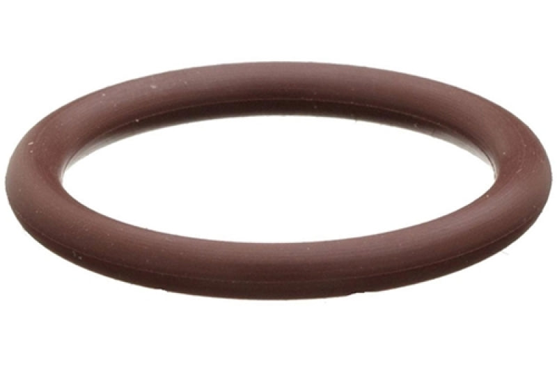 Radium Engineering O-Ring 5-Pack 6AN Viton - Racecraft Industries