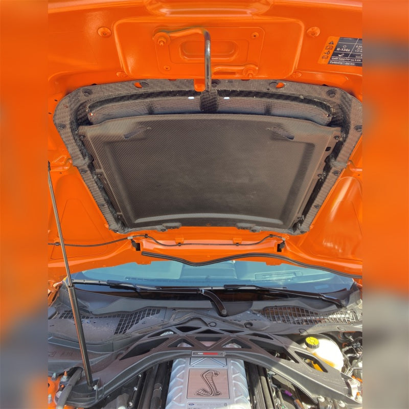 Ford Racing 20-22 Mustang GT500 Carbon Fiber Hood Vent Kit - Racecraft Industries