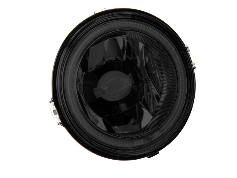 Raxiom 13-14 Ford Mustang GT CCFL Halo Fog Lights (Smoked) - Racecraft Industries