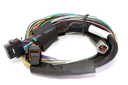 Haltech Elite 2500 8ft Basic Universal Wire-In Harness (Excl Relays or Fuses) - Racecraft Industries