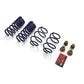 Ford Racing 15-19 Mustang (w/o MagneRide) Street Lowering Spring Kit - Racecraft Industries