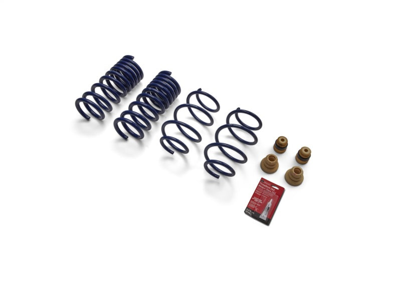 Ford Racing 15-19 Mustang (w/o MagneRide) Street Lowering Spring Kit - Racecraft Industries