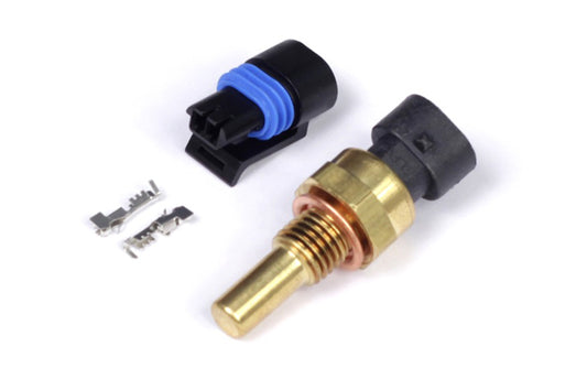 Haltech Coolant Temp Sensor M12 x 1.5 (Incl Delphi Plug & Pins) - Racecraft Industries