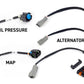 Haltech NEXUS Rebel LS Kit (Suits Gen IV) 6-Pin DBW Throttle/EV6 Injectors/Manual Transmission - Racecraft Industries