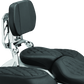 Kuryakyn Neo Driver & Passenger Backrest Chrome - Racecraft Industries
