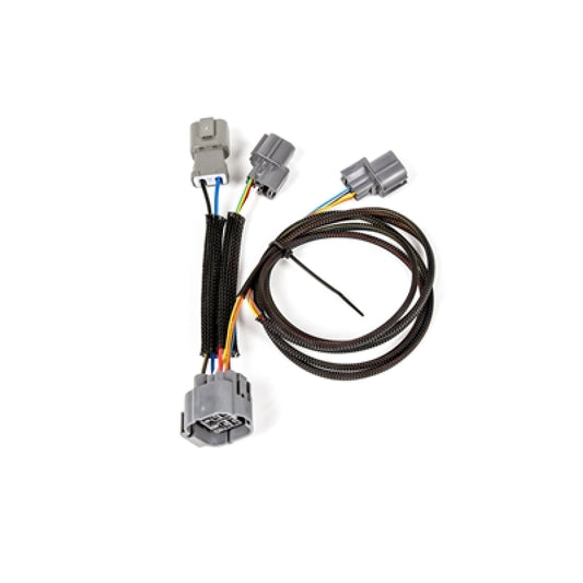 Rywire Honda Prelude (US Spec) OBD2 to OBD2 10-Pin Distributor Adapter - Racecraft Industries