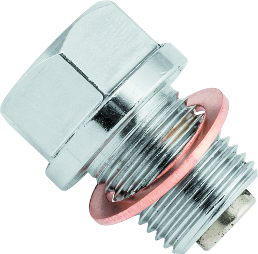 BikeMaster Magnetic Oil Drain Plug 14mm - Stainless - Racecraft Industries
