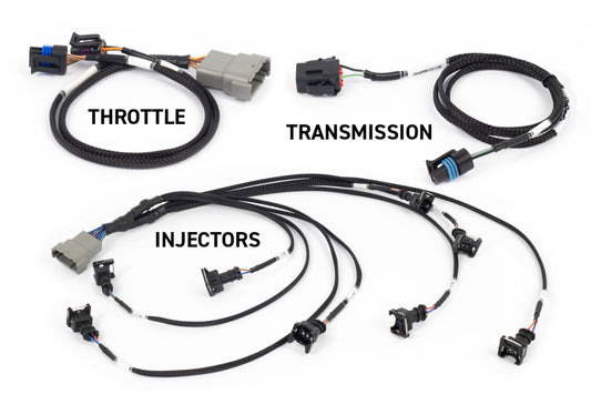 Haltech NEXUS Rebel LS Kit (Suits Gen III) Cable Throttle/EV1 Injectors/Manual Transmission - Racecraft Industries