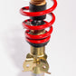 Roush 2015-2023 Ford Mustang 5.0L Single Adjustable Coil Over Kit (Excl. MagneRide Suspension) - Racecraft Industries