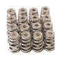 GSC P-D 2022+ Subaru WRX FA24F High Pressure Conical Valve Spring and Ti Retainer Kit - Racecraft Industries