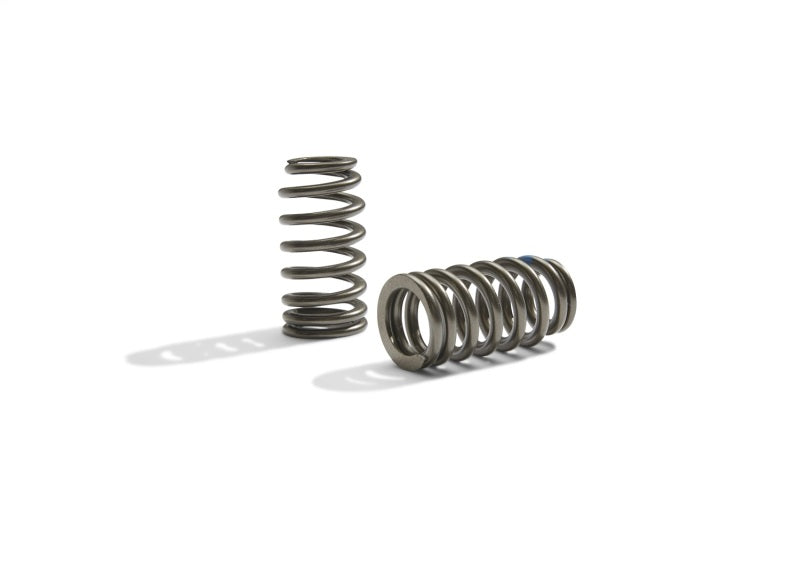 Ford Racing BOSS 302R Valve Spring Kit - Racecraft Industries