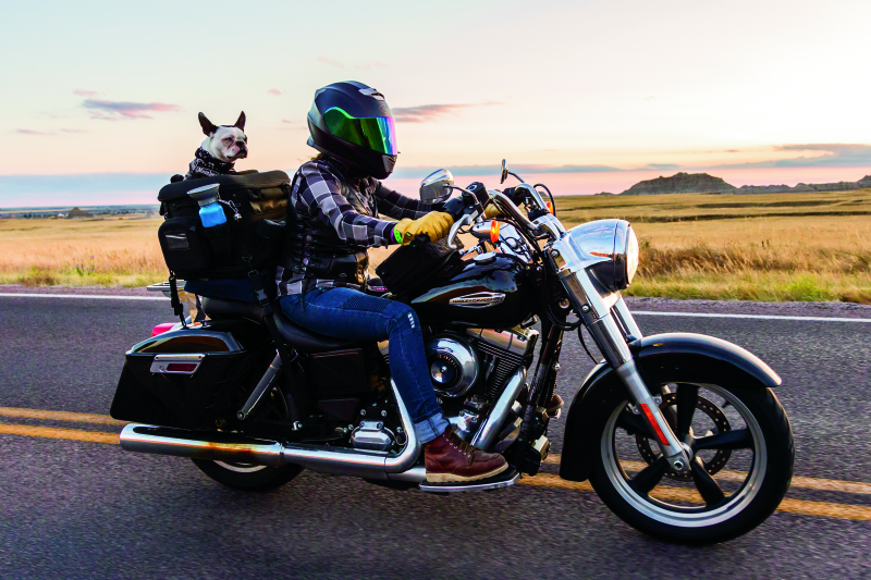 Kuryakyn Grand Pet Palace - Racecraft Industries