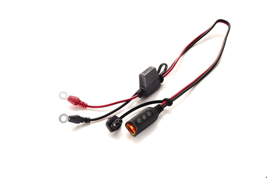 CTEK Accessory - Comfort Indicator Eyelet M6 - Racecraft Industries