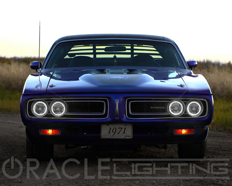 Oracle Pre-Installed Lights 5.75 IN. Sealed Beam - White Halo SEE WARRANTY - Racecraft Industries
