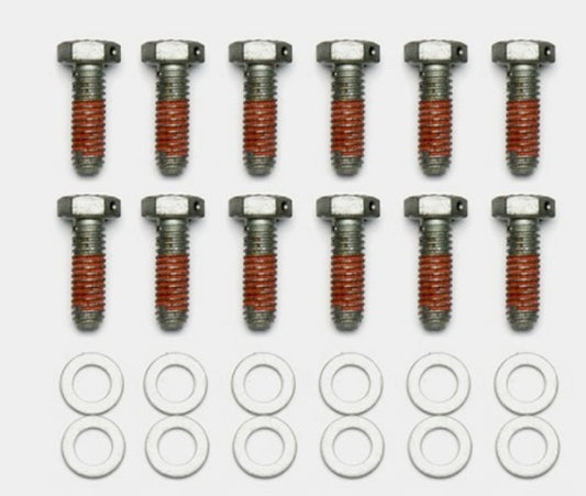 Wilwood Bolt Kit - 5/16-18 x 1.00 LG - 12 pk - Racecraft Industries