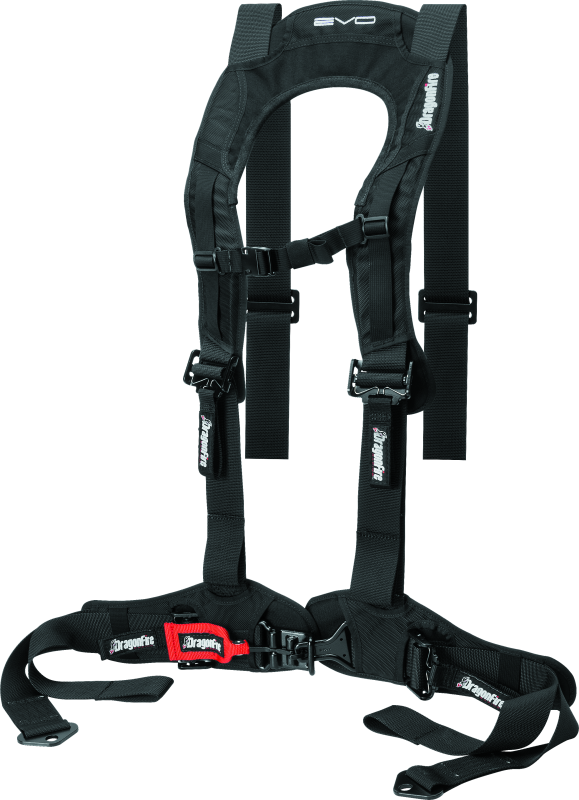 DragonFire Racing Harness Evo- Black - Racecraft Industries