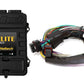 Haltech Elite 2500 Basic Universal Wire-In Harness ECU Kit - Racecraft Industries