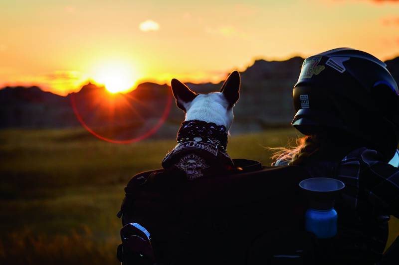 Kuryakyn Grand Pet Palace - Racecraft Industries