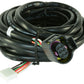 AEM Replacement Sensor Harness for Digital Wideband Gauge (30-4110) - Racecraft Industries