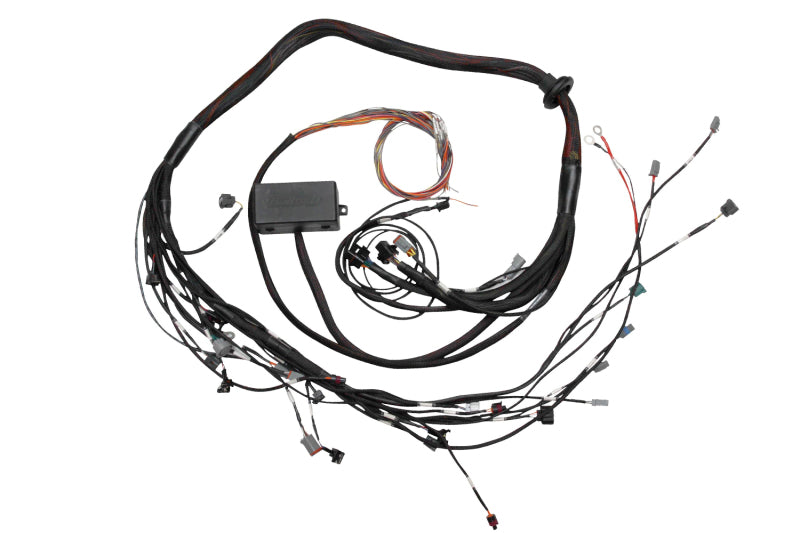 Haltech Toyota 2JZ Elite 2000/2500 Terminated Engine Harness - Racecraft Industries