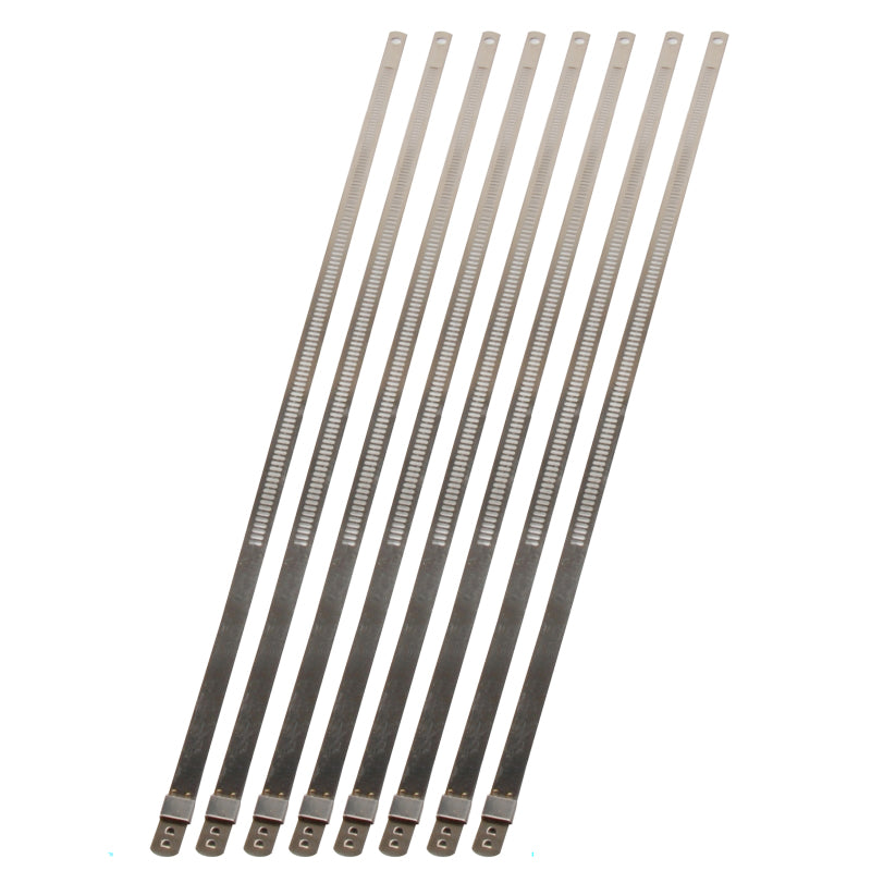 DEI Stainless Steel Positive Locking Tie 1/4in (7mm) x 9in - 8 per pack - Racecraft Industries
