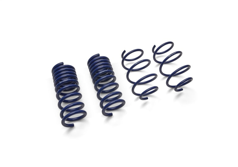 Ford Racing 15-19 Mustang (w/o MagneRide) Street Lowering Spring Kit - Racecraft Industries