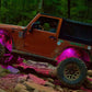 Oracle Bluetooth + RF Underbody Rock Light Kit - 4 PCS - ColorSHIFT SEE WARRANTY - Racecraft Industries
