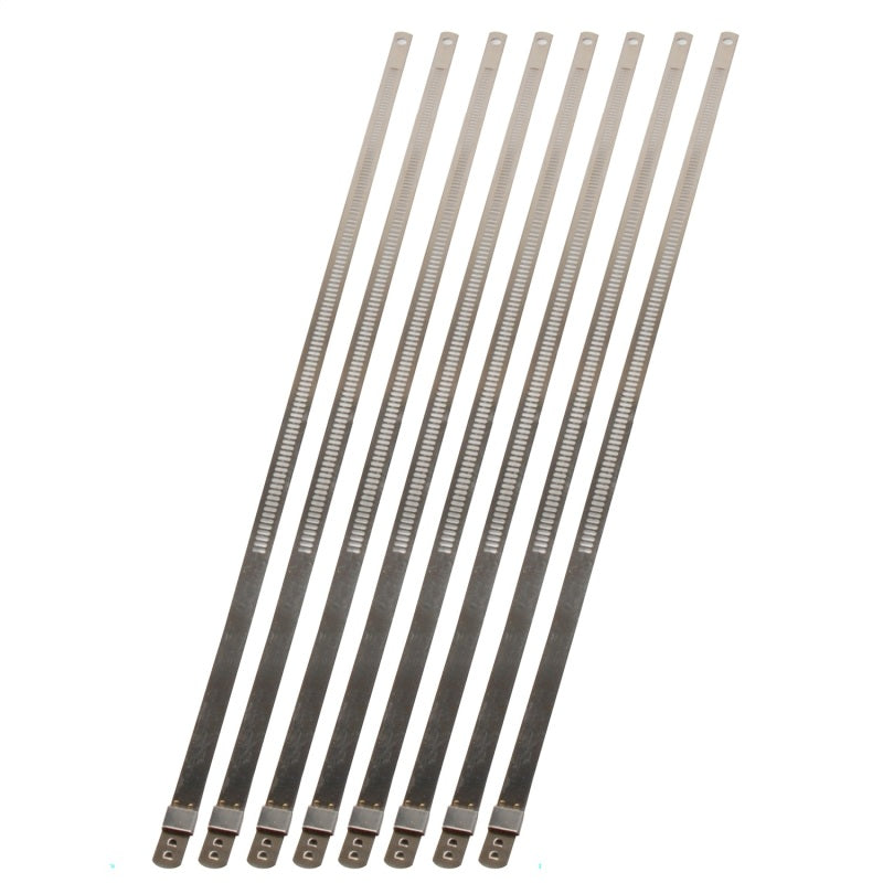 DEI Stainless Steel Positive Locking Tie 1/4in (7mm) x 9in - 8 per pack - Racecraft Industries
