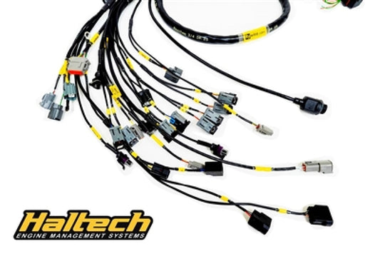 Rywire Honda K-Series (w/Haltech Elite 1500+) Eng Harn w/OBD2 Alt/EV14 Inj/AEM IAT/MAP (Adapter Req) - Racecraft Industries